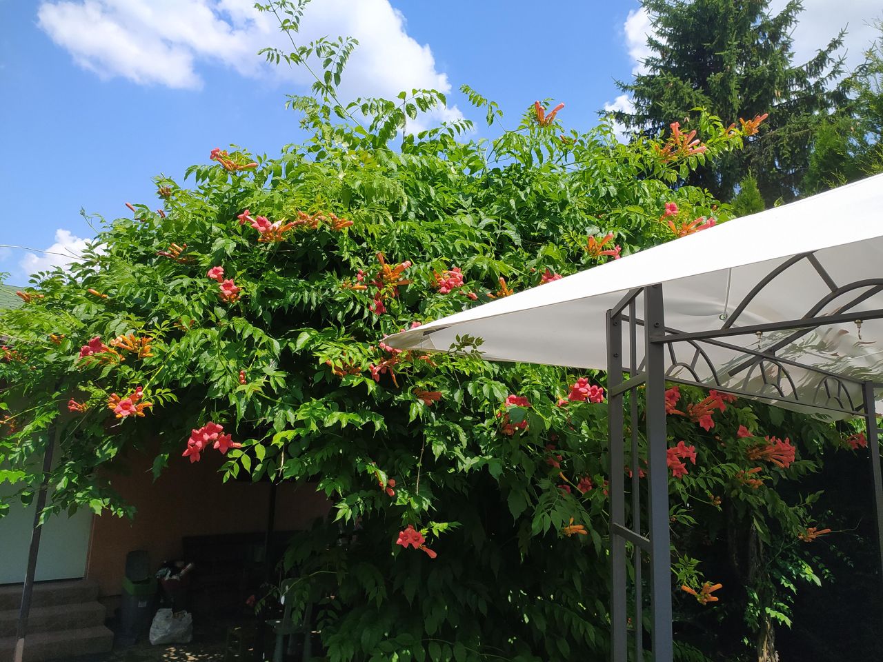 Działka rod Warszawa Wola, ul. Jana Brożka