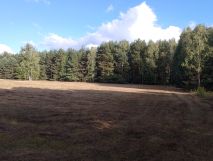 Działka budowlana Franciszków, ul. Jarzębinowa. Zdjęcie 3