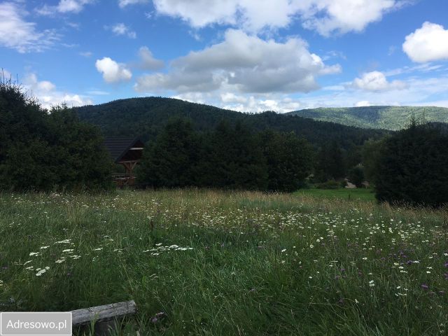 Działka budowlana Strzebowiska. Zdjęcie 1