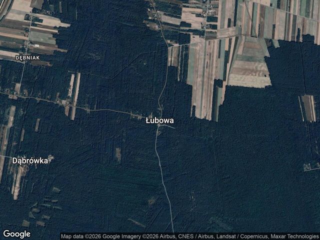 Działka rolno-budowlana Łubowa. Zdjęcie 1