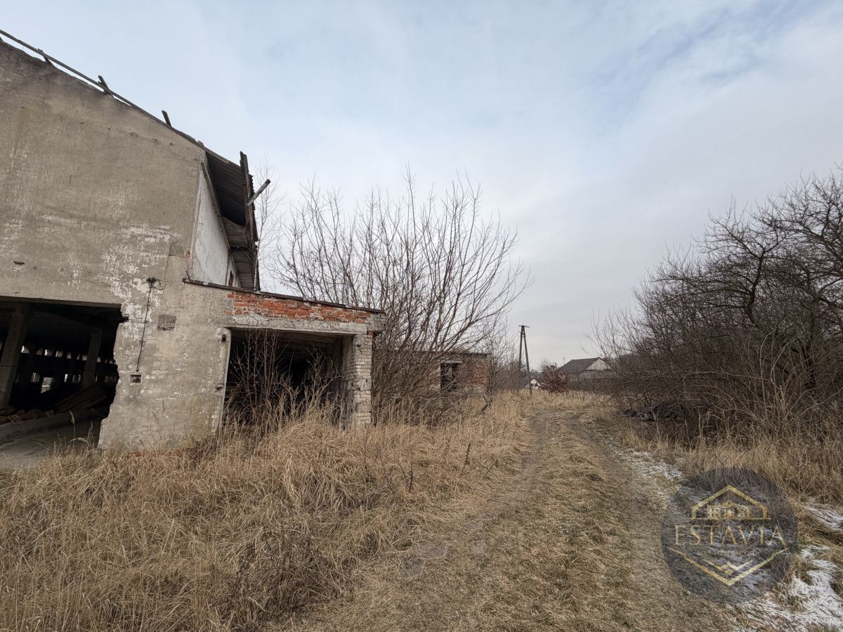 Działka inwestycyjna Węgorzyce. Zdjęcie 5