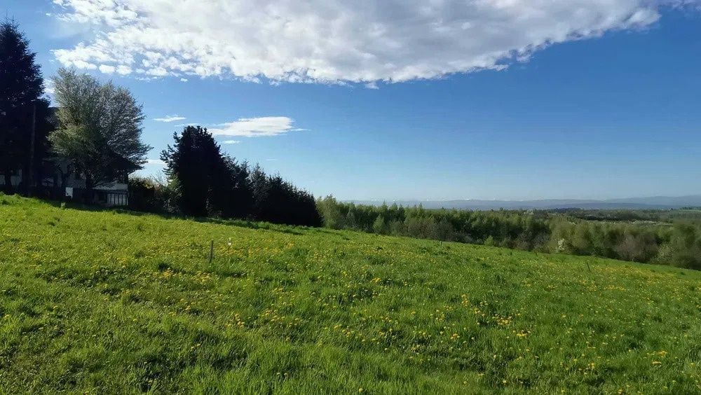 Działka rolno-budowlana Brzozówka. Zdjęcie 3
