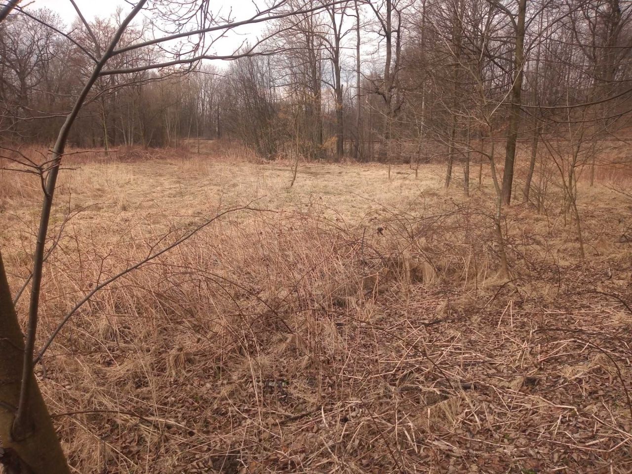 Działka rolna Bulowice. Zdjęcie 2