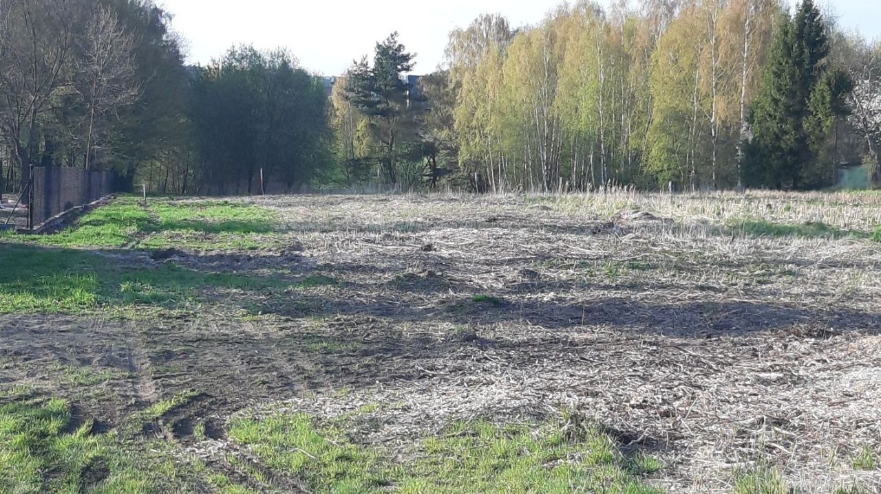 Działka rolno-budowlana Pszów Krzyżkowice, ul. Lubomska. Zdjęcie 7