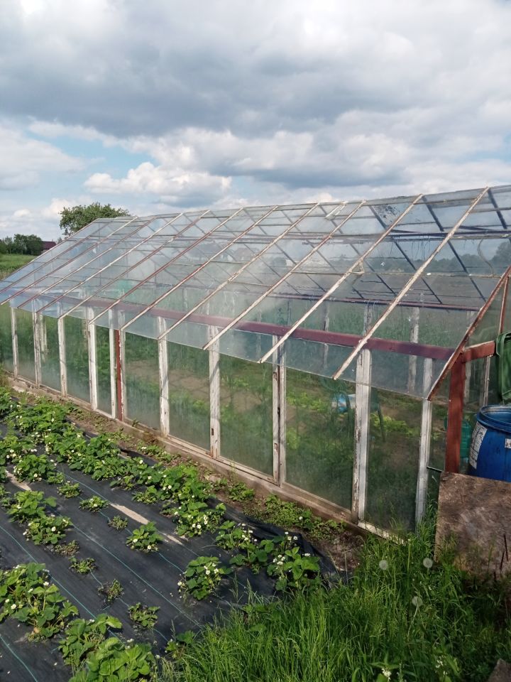 budynek wielorodzinny, 8 pokoi Krypno Kościelne. Zdjęcie 4