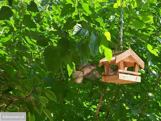 Mieszkanie 3-pokojowe Wrocław Fabryczna, ul. Jelenia. Zdjęcie 18