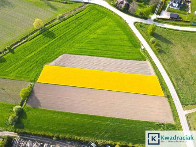 Działka budowlana Srogów Górny. Zdjęcie 3