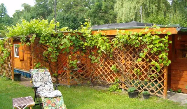 dom letniskowy, 5 pokoi Tarnów Jezierny, ul. Świerkowa