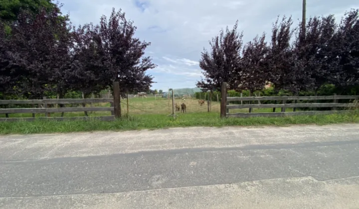 Działka budowlana Tarchalin, Wewnętrzna