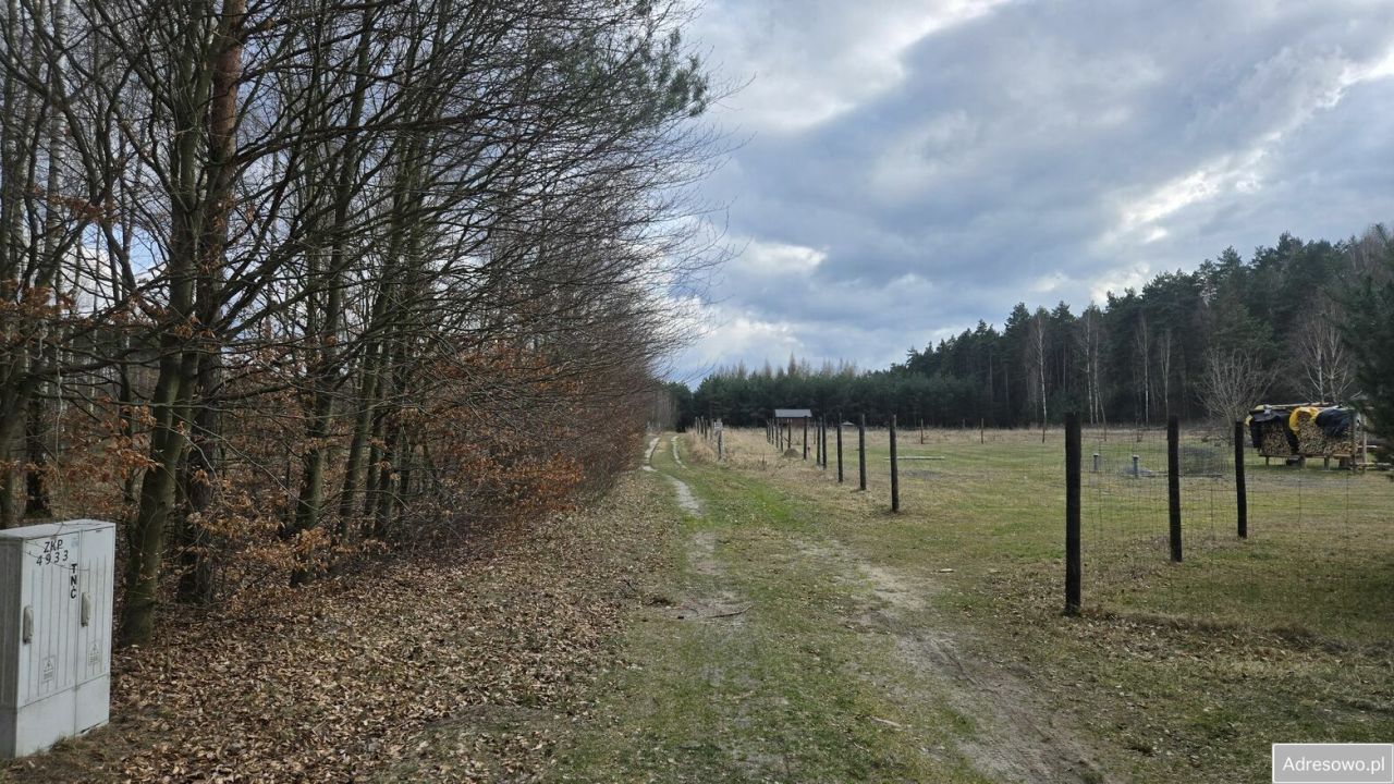 Działka Leśna. Zdjęcie 3