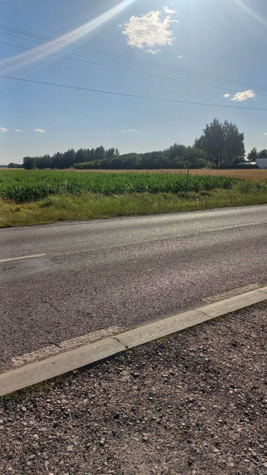 Działka rolno-budowlana Parczew, ul. Kościelna. Zdjęcie 4
