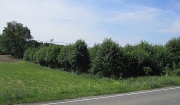 Działka rolna Wierzchowiska Pierwsze