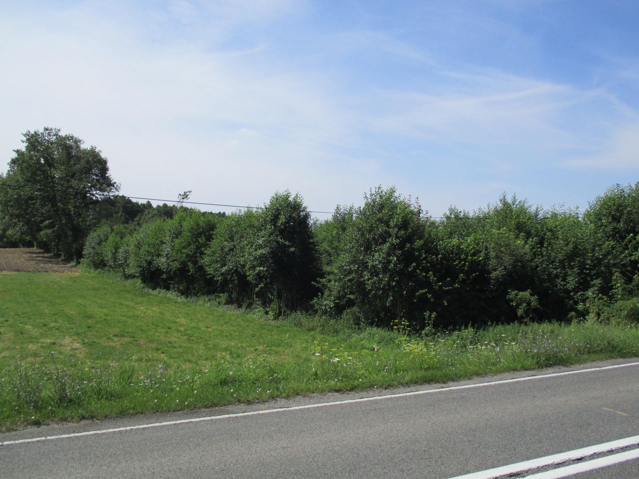 Działka rolna Wierzchowiska Pierwsze. Zdjęcie 2