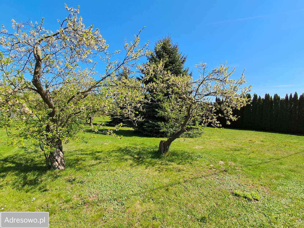 Działka budowlana Bogucin. Zdjęcie 13