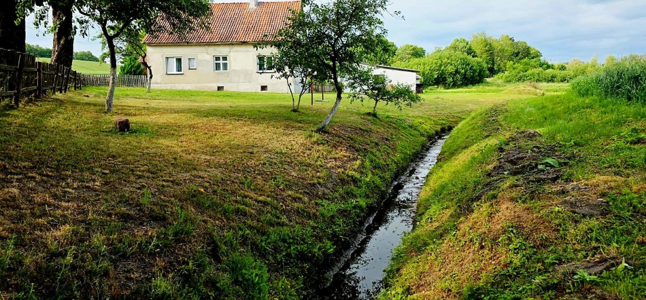 siedlisko, 4 pokoje Pierwągi. Zdjęcie 4