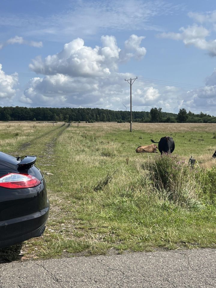Działka rolna Krupy. Zdjęcie 3