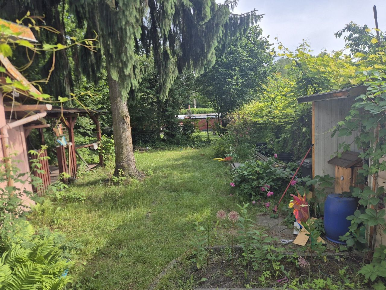 Działka rod Ruda Śląska, ul. Marii Skłodowskiej-Curie. Zdjęcie 2