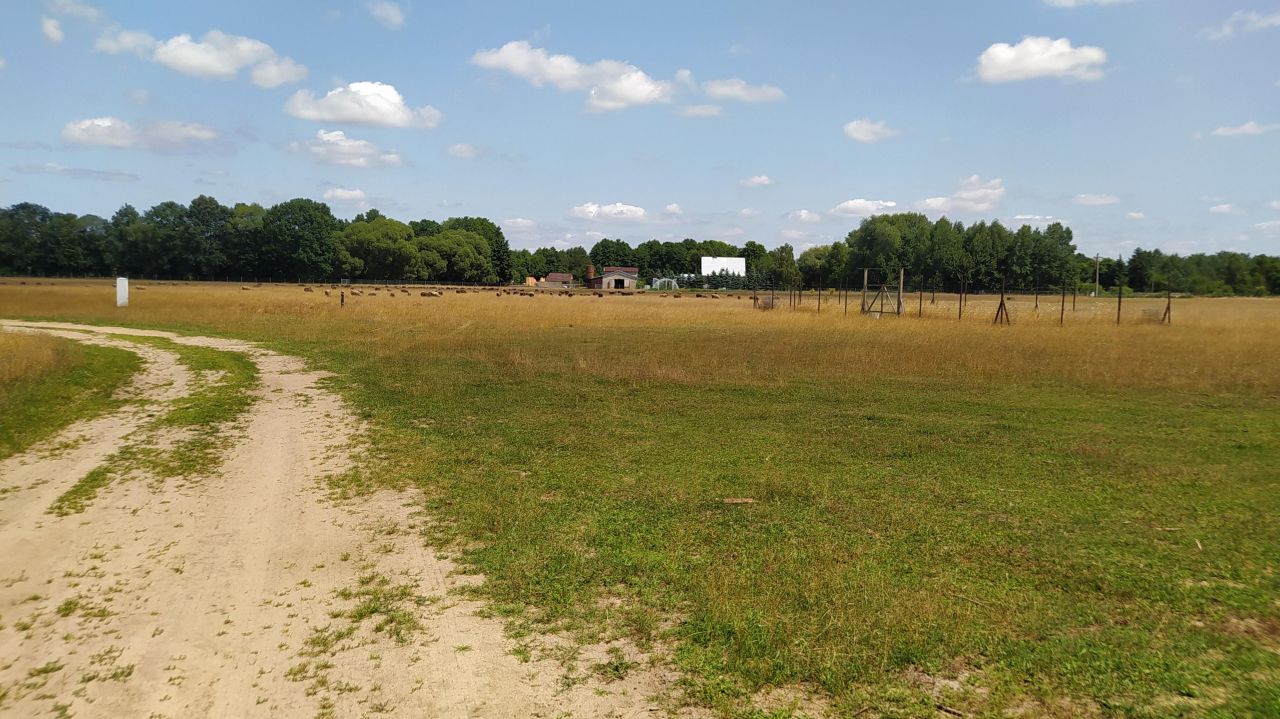 Działka rekreacyjna Owczegłowy, Owczegłowy. Zdjęcie 6