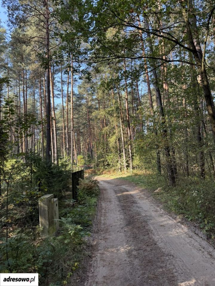 Działka budowlana Żarki-Letnisko, ul. Wiejska. Zdjęcie 3
