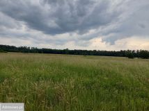 Działka budowlana Krzywa Góra. Zdjęcie 3