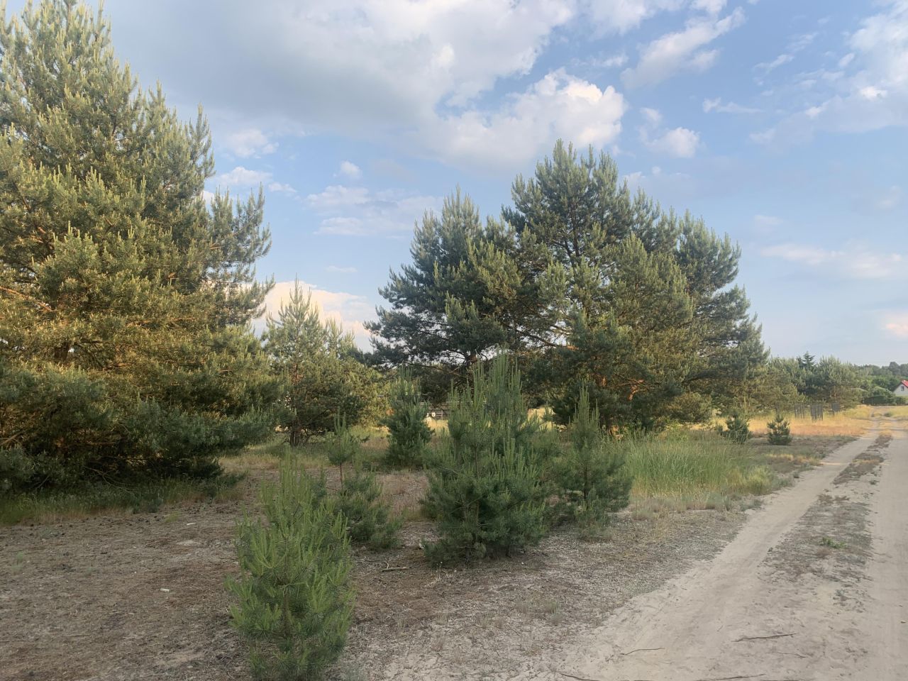 Działka budowlana Drzewce, ul. Drzewiecka. Zdjęcie 9