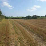 Działka rolno-budowlana Bałamutowo. Zdjęcie 4