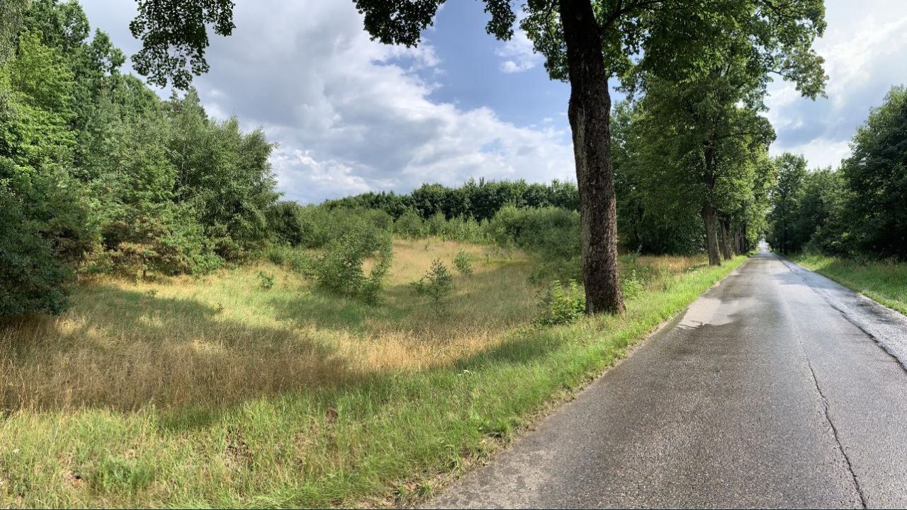 Działka budowlana Dębczyno. Zdjęcie 3