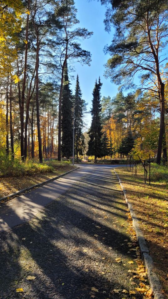 Mieszkanie 3-pokojowe Cibórz. Zdjęcie 35