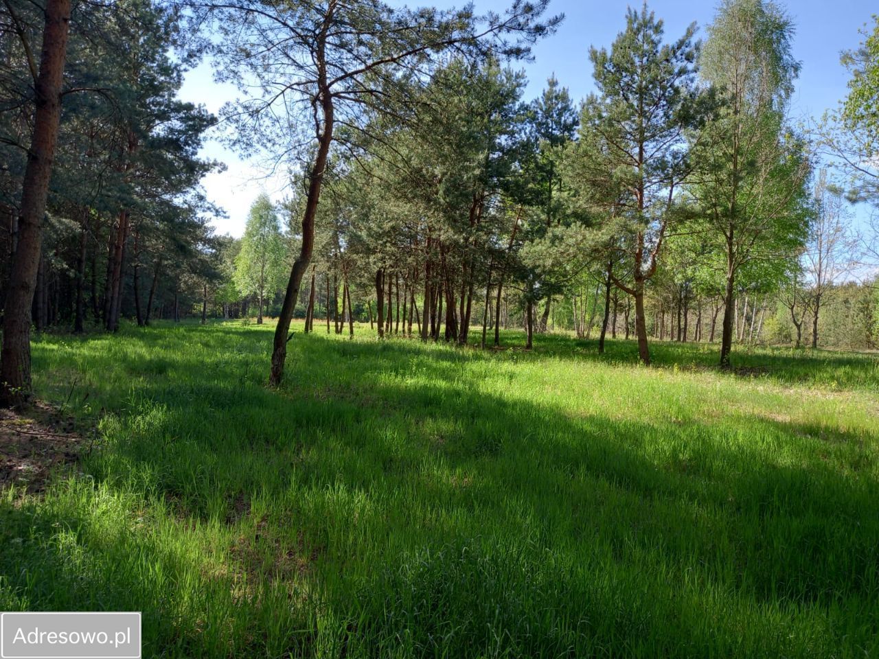 Działka budowlana Kępiaste. Zdjęcie 2