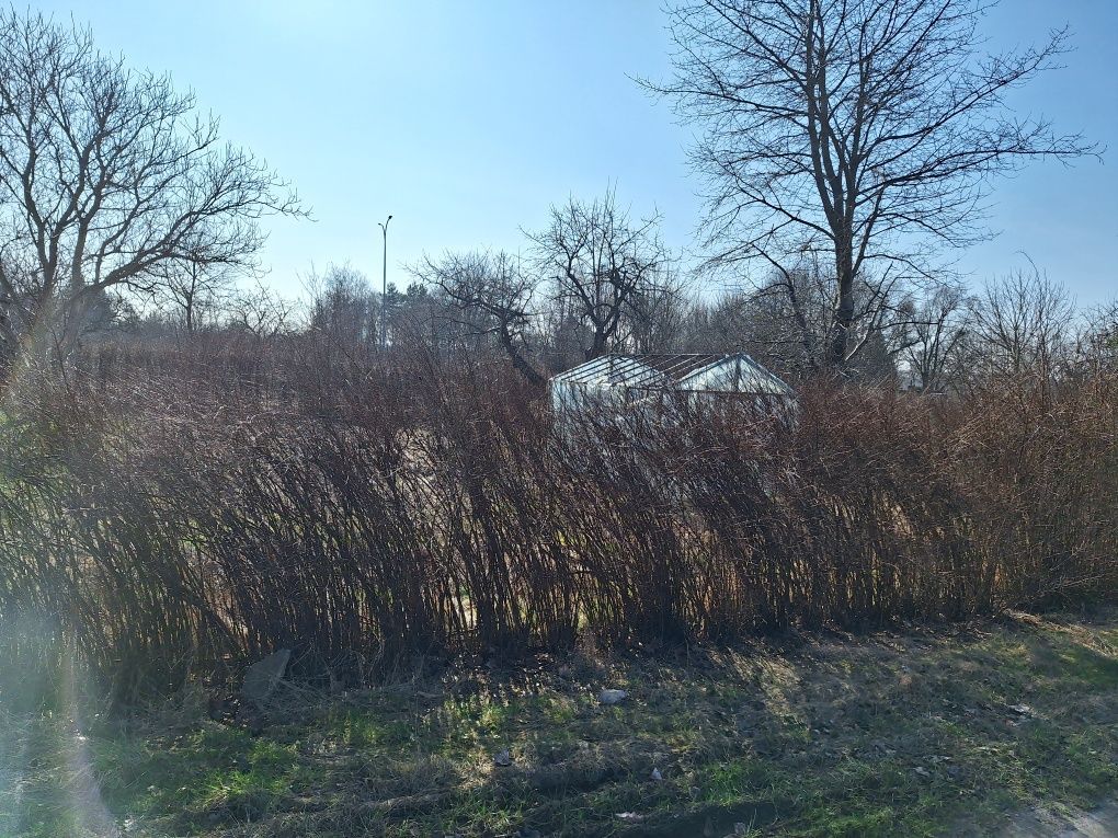 Działka rod Słupsk, ul. Bohaterów Westerplatte. Zdjęcie 2