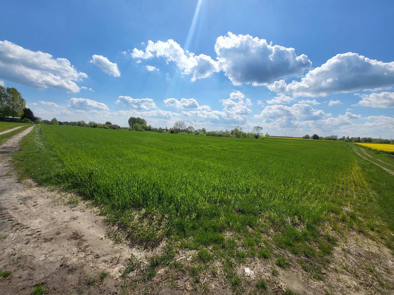 Działka rolna Nowy Stręczyn. Zdjęcie 9
