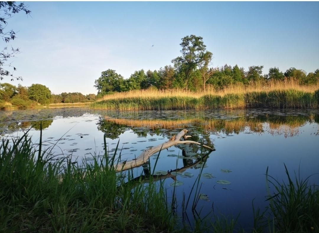 dom wolnostojący, 3 pokoje Mniszew. Zdjęcie 14