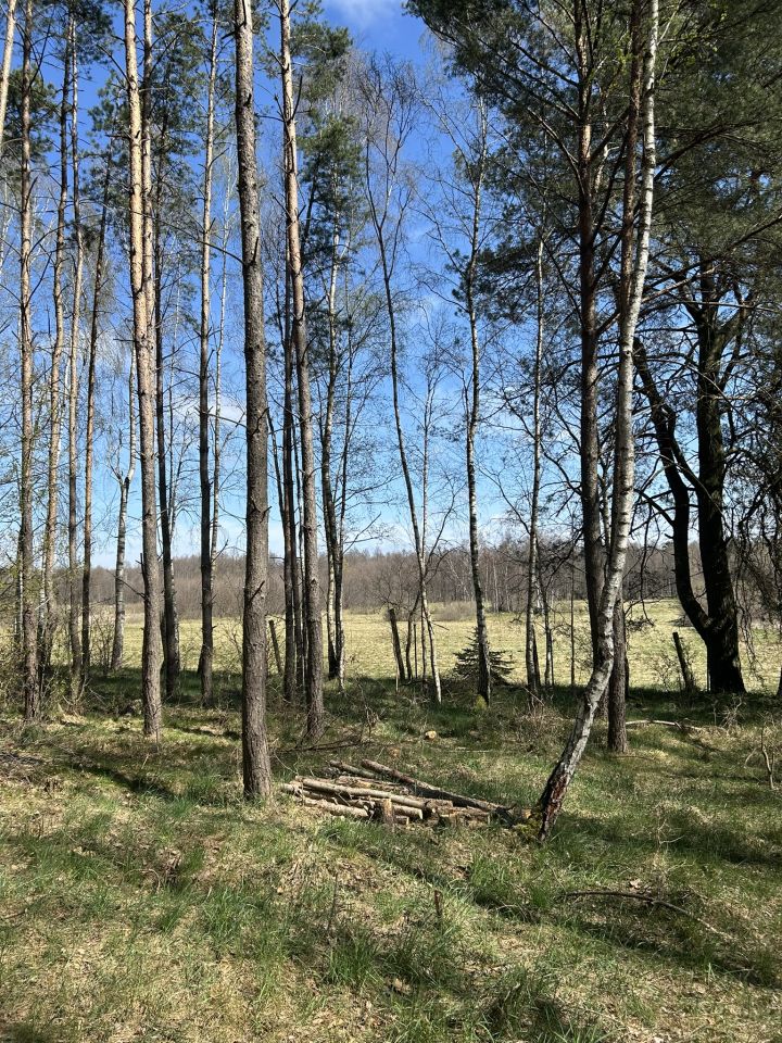 dom wolnostojący, 5 pokoi Blizawy, Blizawy. Zdjęcie 8