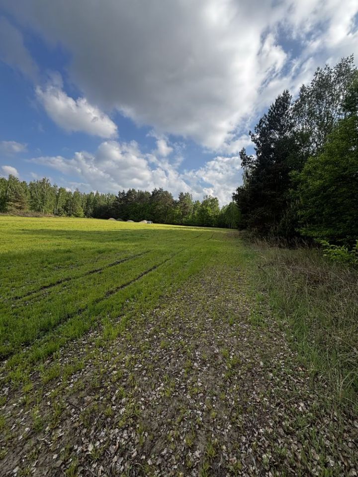 Działka rolno-budowlana Grabice. Zdjęcie 5