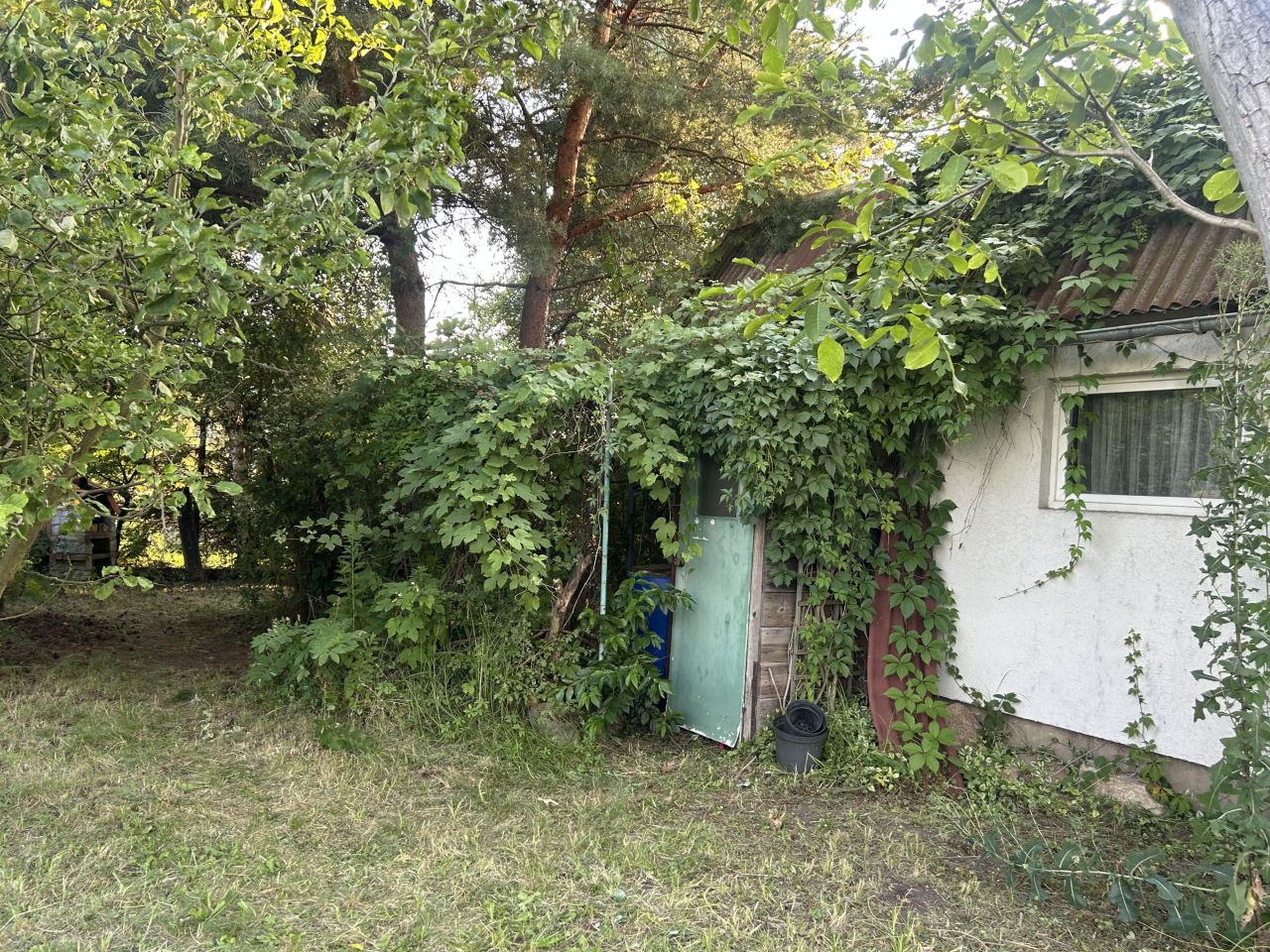 Działka rod Wrocław Polanowice, ul. Polna. Zdjęcie 1