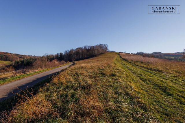 Działka budowlana Zborowice. Zdjęcie 12