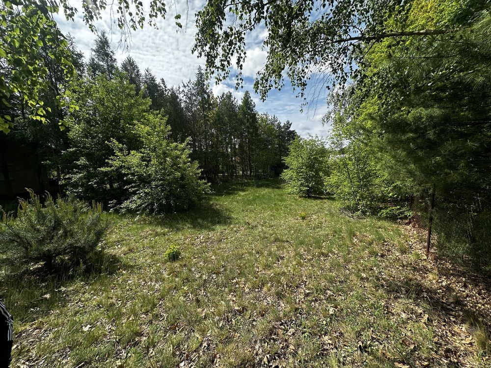 Działka Ługowiska. Zdjęcie 3