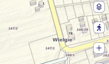 Działka inwestycyjna Wielgie