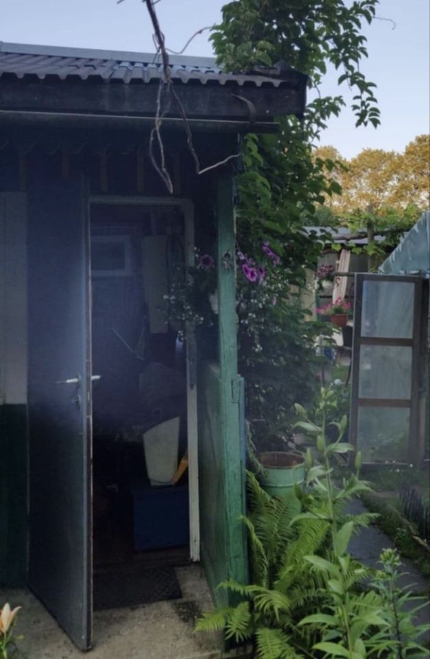 Działka rod Słupy. Zdjęcie 4