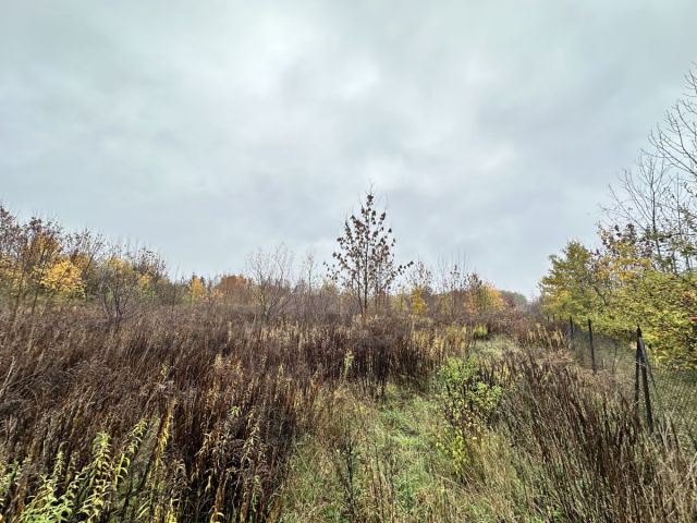 Działka rolna Sochaczew, ul. Rozlazłowska. Zdjęcie 2