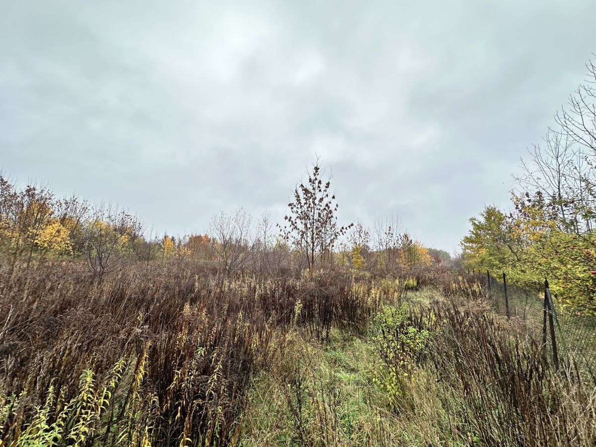 Działka rolna Sochaczew, ul. Rozlazłowska. Zdjęcie 2