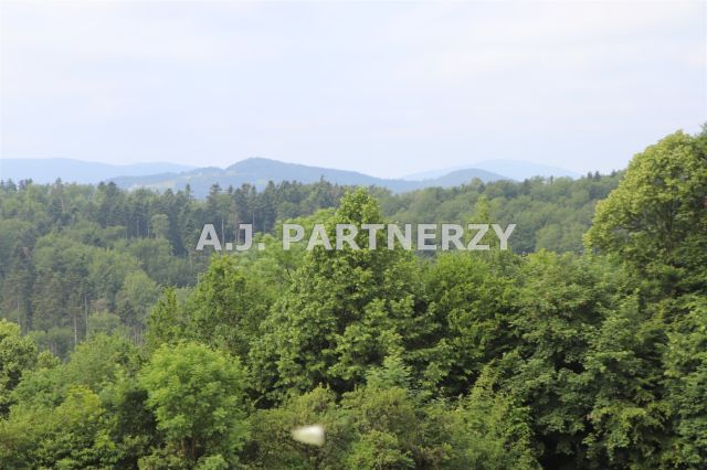 Działka Pasierbiec. Zdjęcie 14