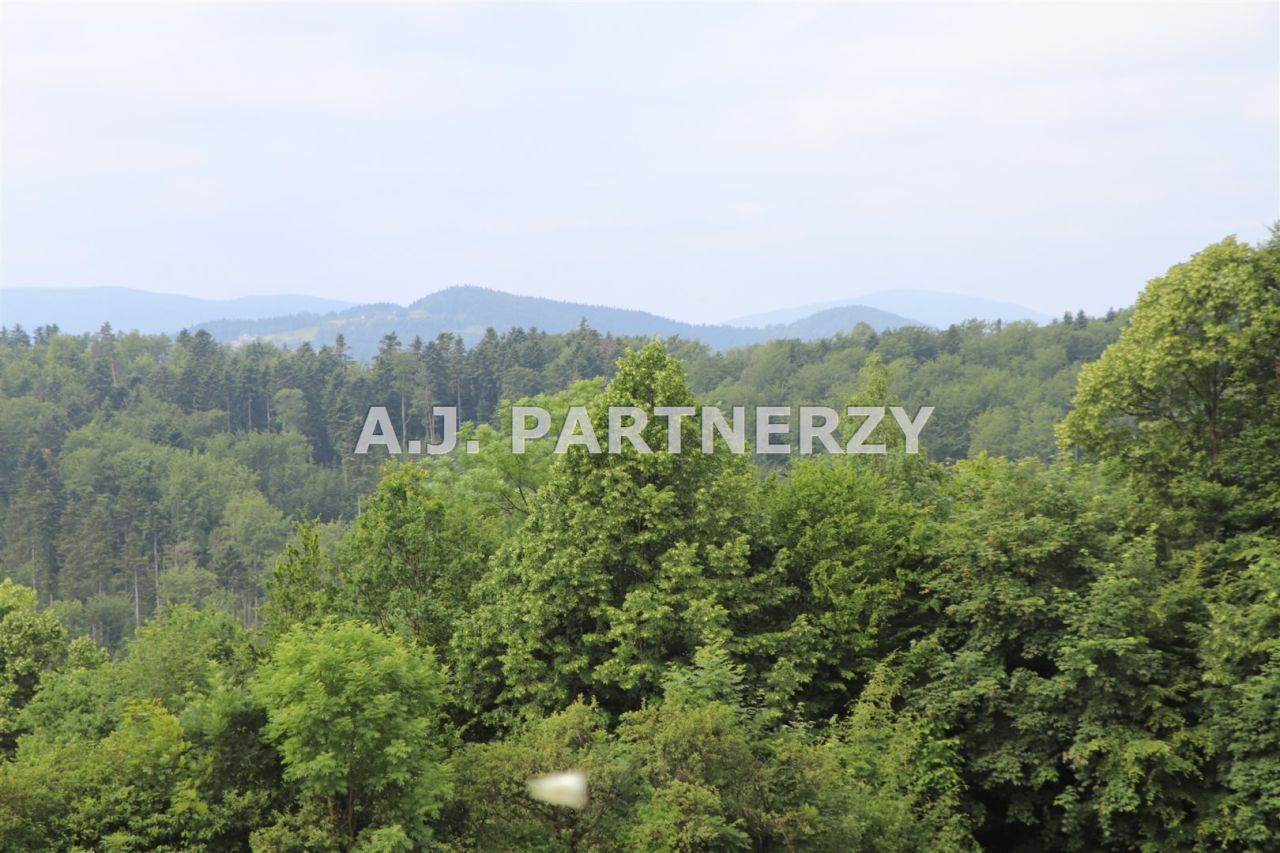 Działka Pasierbiec. Zdjęcie 14