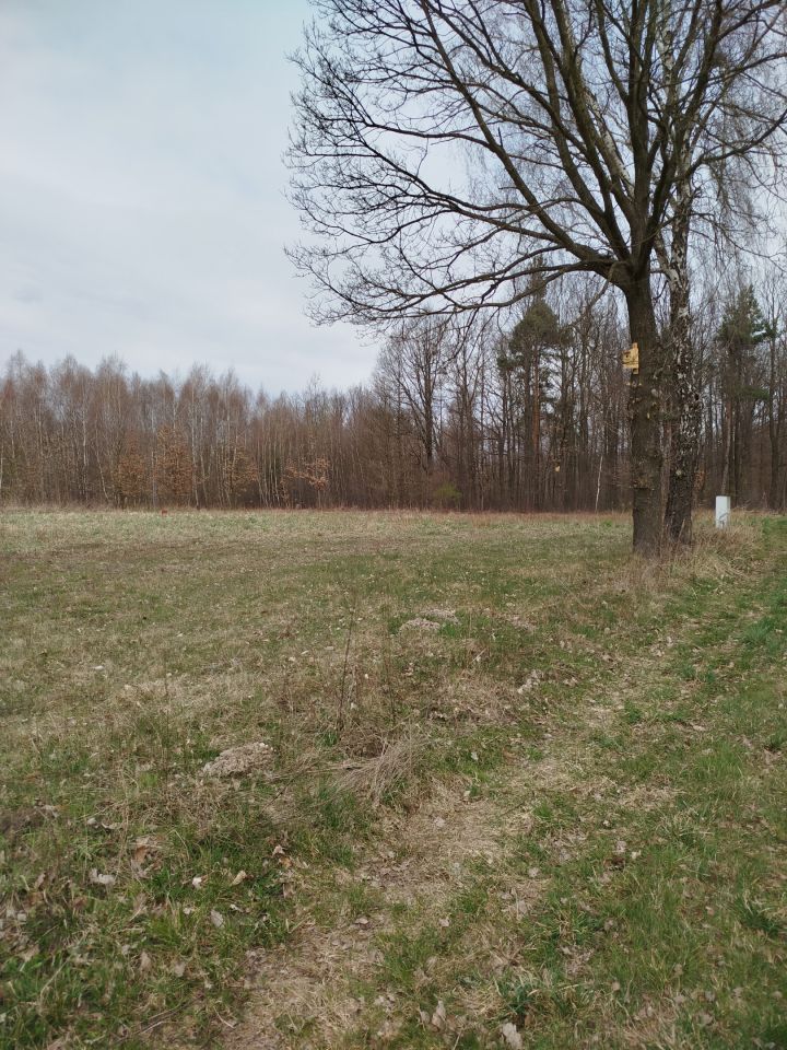 Działka budowlana Jaskrów, ul. Częstochowska 164. Zdjęcie 3