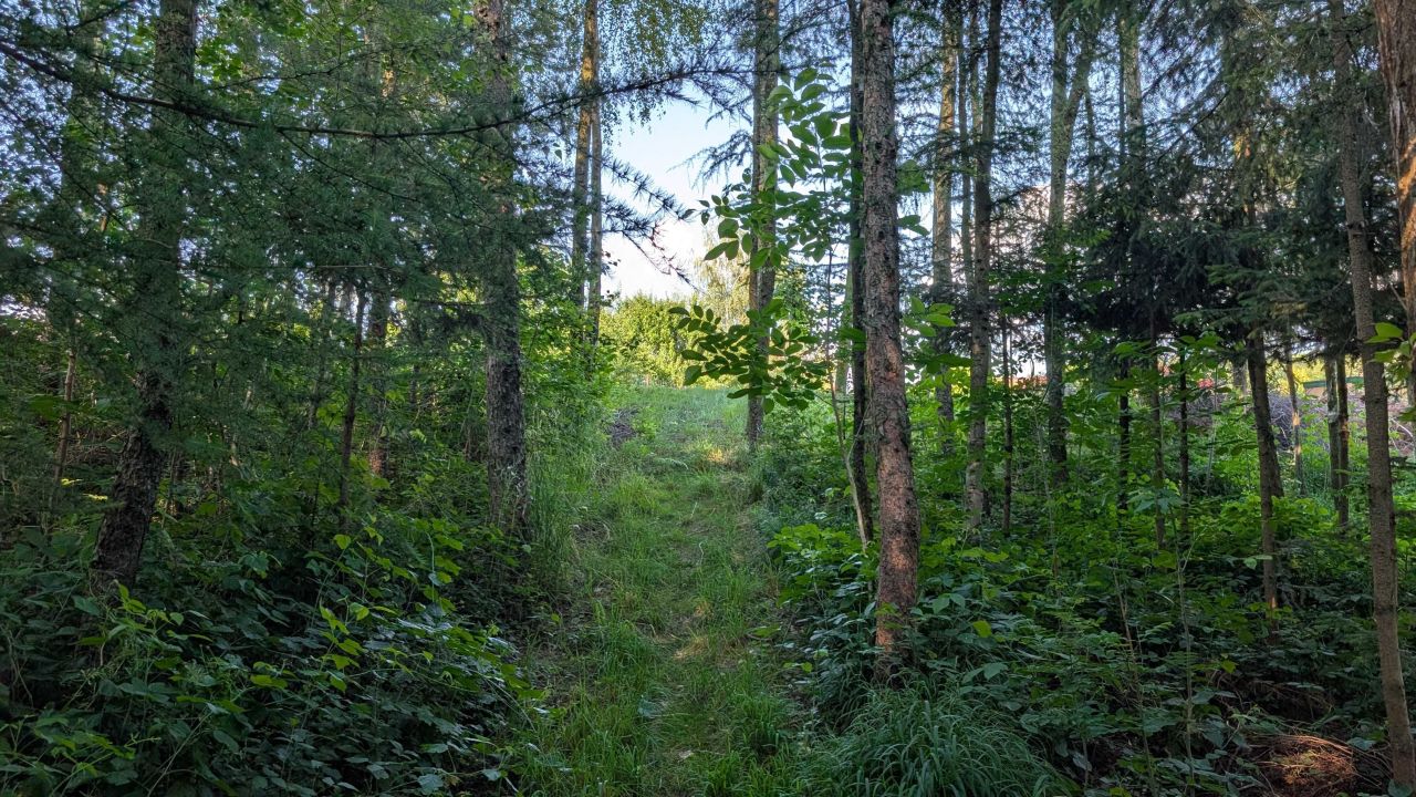 Działka budowlana Siedliska. Zdjęcie 7