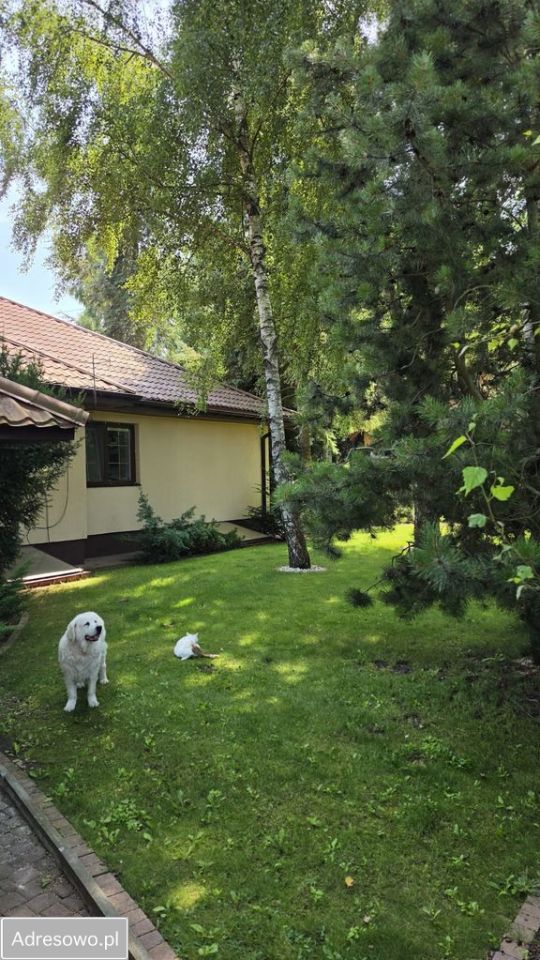 dom wolnostojący, 4 pokoje Maszewo Duże. Zdjęcie 19