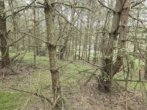 Działka leśna Ruś. Zdjęcie 2