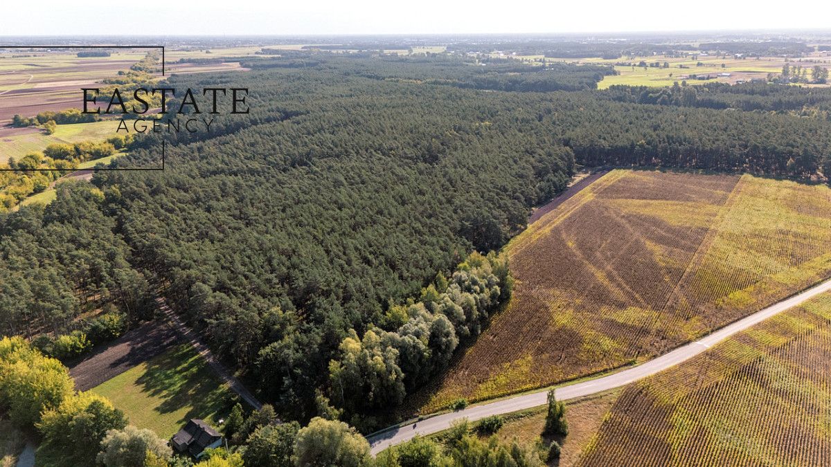 Działka leśna Maurzyce. Zdjęcie 4