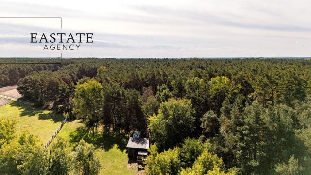 Działka leśna Maurzyce. Zdjęcie 3