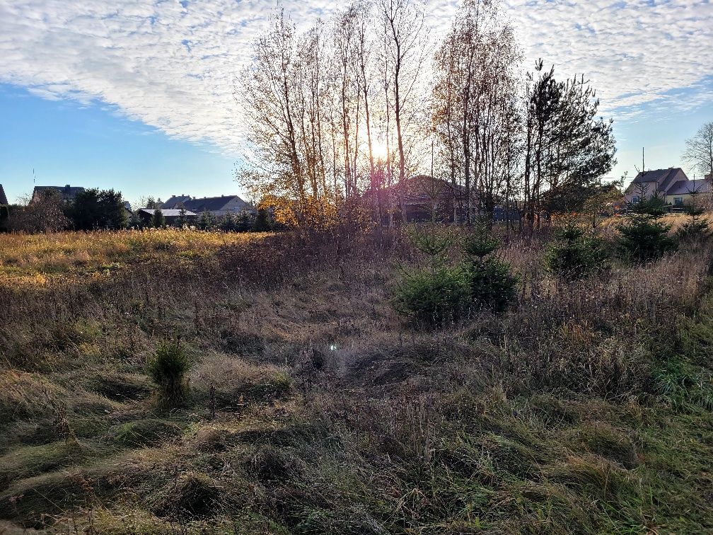 Działka budowlana Zalesie, ul. Krzywa. Zdjęcie 2